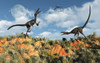A pair of velociraptors involved in a territorial dispute during daylight hours Poster Print - Item # VARPSTMAS100518P