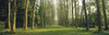 http://c328301.r1.cf1.rackcdn.com/PPI46590S.jpg