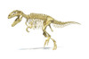 3D rendering of a Giganotosaurus dinosaur skeleton, perspective view Poster Print - Item # VARPSTVET600027P