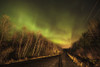 Aurora borealis over road; Thunder Bay, Ontario, Canada PosterPrint - Item # VARDPI12301412