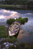 http://c328301.r1.cf1.rackcdn.com/DPI1827309LARGE.jpg