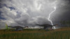 Two Gigantoraptors running across a grassy field during a lightning storm Poster Print - Item # VARPSTKVA600213P