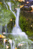 Crystal Springs Waterfall At Oregon, United States Of America PosterPrint - Item # VARDPI1830299