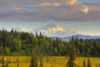 Scenic View Of Mount Mckinley From South Of Denali National Park Southcentral Alaska, Summer, Hdr Image PosterPrint - Item # VARDPI2100230