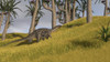 Dicraeosaurus in a savanna landscape Poster Print - Item # VARPSTKVA600513P