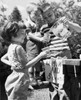 Boy serving lemonade to friends Poster Print - Item # VARSAL2554684