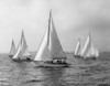 Sailboats in the sea Poster Print - Item # VARSAL25522836