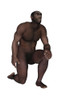 Male homo erectus kneeling, white background Poster Print