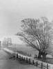 Country road Poster Print - Item # VARSAL255422032