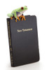 Frog Sitting On A Bible PosterPrint