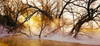 http://c328301.r1.cf1.rackcdn.com/PPI150077L.jpg