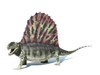 3D rendering of a Dimetrodon dinosaur, side view Poster Print - Item # VARPSTVET600011P