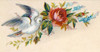 Bird with Rose  Nostalgia Cards Poster Print - Item # VARSAL9801309