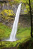 Elowah Falls In Columbia River Gorge National Scenic Area; Oregon, Usa PosterPrint - Item # VARDPI1877194