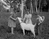 Boy and girls playing with goat Poster Print - Item # VARSAL255419781