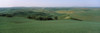 Wheat crop in the field, Washington State, USA Poster Print