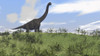 Large Brachiosaurus grazing in an open field Poster Print - Item # VARPSTKVA600136P