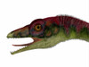 Compsognathus dinosaur portrait. Compsognathus was a small carnivorous theropod that lived during the Jurassic Period of Europe Poster Print - Item # VARPSTCFR200598P