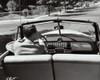 Rear view of a young man driving a convertible car Poster Print - Item # VARSAL25525150