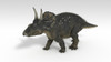 Triceratops dinosaur, white background Poster Print - Item # VARPSTKVA600702P