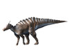 Saurolophus dinosaur, white background Poster Print - Item # VARPSTNBT600144P
