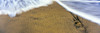 http://c328301.r1.cf1.rackcdn.com/PPI163984S.jpg