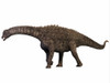 Ampelosaurus was a herbivorous sauropod dinosaur that lived in Europe during the Cretaceous period Poster Print - Item # VARPSTCFR200560P