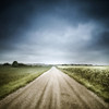 Country road through fields, Denmark Poster Print - Item # VARPSTEVK200147S