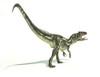 Allosaurus dinosaur on white background with drop shadow Poster Print - Item # VARPSTVET600040P