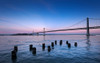 Suspension bridge over Pacific ocean, Bay Bridge, San Francisco Bay, San Francisco, California, USA Poster Print - Item # VARPPI168476