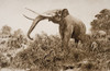 The Chatham Elephant. From Fossil Remains 400,000 Years Old Discovered In 1913 Near Chatham From A Reconstruction Drawing By A. Forrestier, From The Book The Outline Of History By H.G.Wells Volume 1, Published 1920. PosterPrint - Item # VARDPI1857206