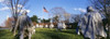 http://c328301.r1.cf1.rackcdn.com/PPI71741L.jpg