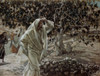 The Accursed Fig Tree  James Tissot Poster Print - Item # VARSAL9999197