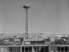 USA  Washington  Seattle  Space Needle Poster Print - Item # VARSAL255423902