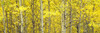http://c328301.r1.cf1.rackcdn.com/PPI166439S.jpg