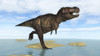 Tyrannosaurus Rex running through shallow water Poster Print - Item # VARPSTKVA600664P