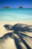 Hawaii, Oahu, Lanikai Beach, Turquoise Ocean, Mokulua Islands, Shadow Of Palm B1489 PosterPrint - Item # VARDPI1998720