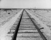 Railroad track passing through a landscape Poster Print - Item # VARSAL2556233