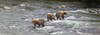 http://c328301.r1.cf1.rackcdn.com/DPI12300670LARGE.jpg
