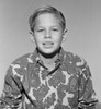 Portrait of smiling boy Poster Print - Item # VARSAL255418595