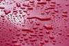 http://c328301.r1.cf1.rackcdn.com/DPI1832702.jpg