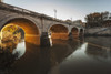 Bridge over a river; Rome, Italy PosterPrint - Item # VARDPI12286848