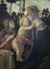 Virgin and Child with John the Baptist   Sandro Botticelli   Oil on Wood   Musee du Louvre Poster Print - Item # VARSAL11582418