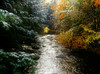 Forest With Creek Running Through It PosterPrint - Item # VARDPI1803932