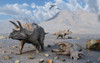 Petrified Triceratops dinosaurs from the Cretaceous Period Poster Print - Item # VARPSTMAS600010P