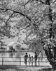 Rear view of a couple and their two daughters looking at a monument  Jefferson Memorial  Washington DC  USA Poster Print - Item # VARSAL25529388