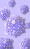 Microscipic view of pancreatic cancer cells Poster Print - Item # VARPSTSTK700885H
