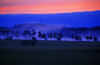 Sunrise Over Field With Trees PosterPrint