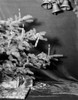 Christmas tree with gifts and candles on branches Poster Print - Item # VARSAL255424030