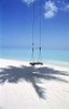 Swing on the beach above palm tree shadow Poster Print by Panoramic Images (24 x 36) - Item # PPI124212
